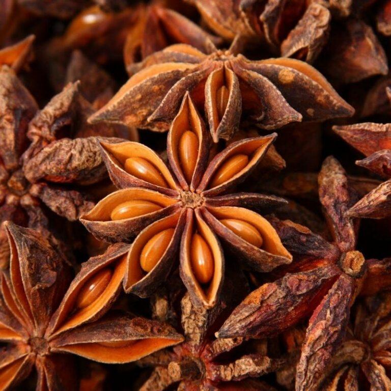 Star Anise Seeds 50g