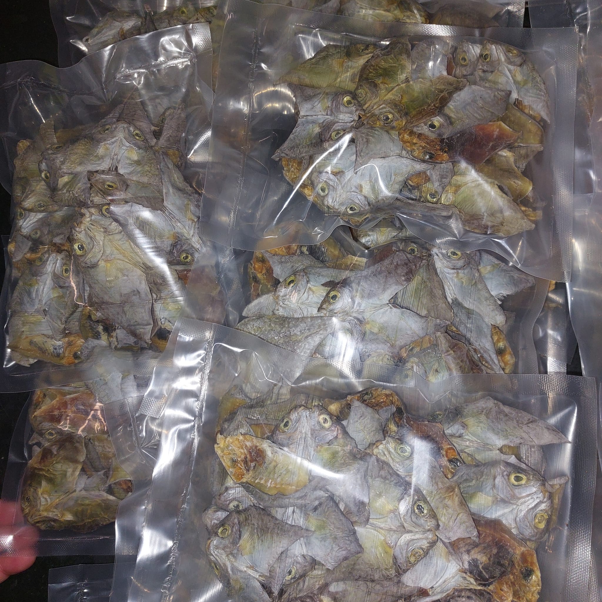 . Dried Danggit Unsalted (circa. 80-82g)